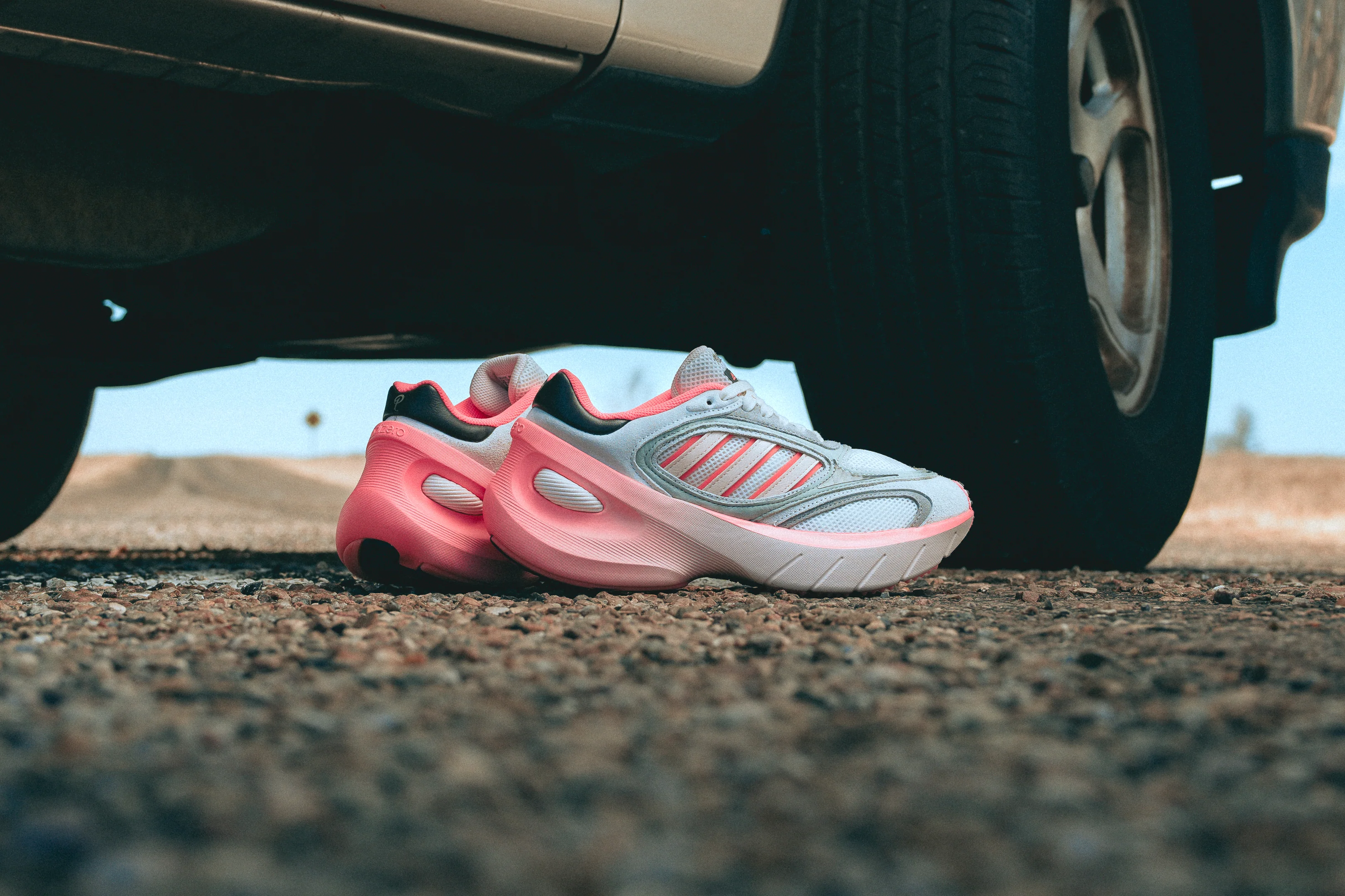 Welcome to Our Store